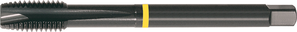 8002010024